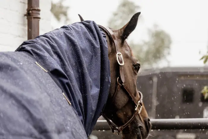 Waterproof Horse Scarf - Navy