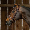 New English Flash Noseband Bridle - Brown