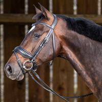 Working Matte Large Crank Noseband Bridle with Flash - Black