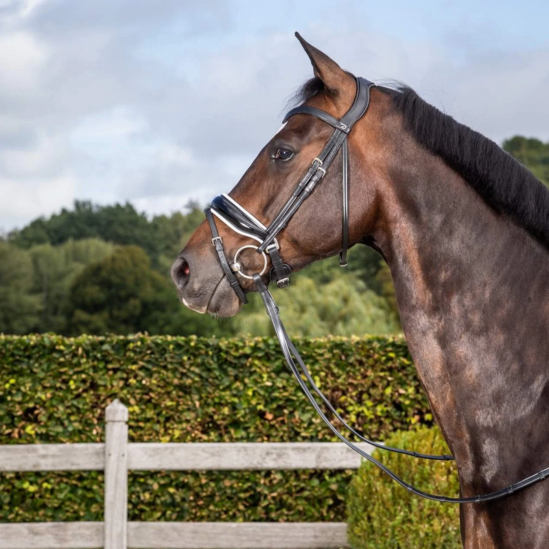 Working Patent Large Crank Noseband Bridle with Flash - Black/White