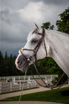 Hunter Fig 8 Noseband Bridle - Brown